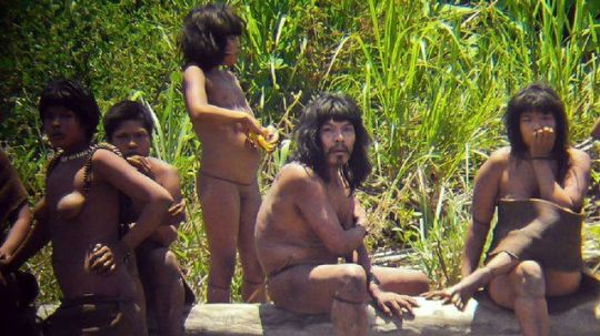Brazilian jungle tribes